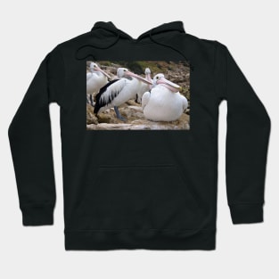 Waiting for Dinner Hoodie